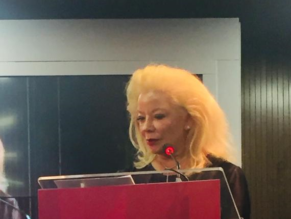 Misabel Derzi comenta decisão sobre empréstimos concedidos a coligadas